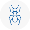 Ant Removals In West Kirby