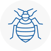Bed Bug Extermination In West Kirby