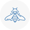 Bee Nest Removal West Kirby