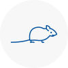 Mice Exterminators In West Kirby