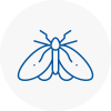 Moth Control Specialists In West Kirby