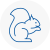 West Kirby Rodent Removals